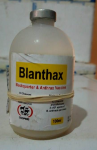 WhatsApp Image 2020-07-03 at 11.25.39 (1)