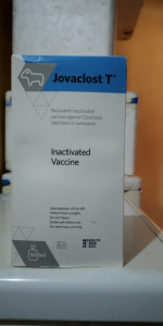 WhatsApp Image 2020-07-03 at 11.25.41