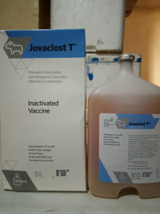 WhatsApp Image 2020-07-03 at 11.25.44