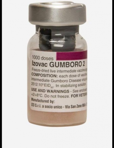 WhatsApp Image 2020-07-03 at 17.03.58 (1)