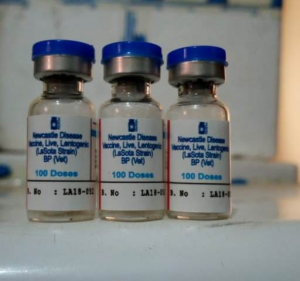 WhatsApp Image 2020-07-03 at 11.25.43 (1)