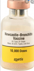 WhatsApp Image 2020-07-03 at 17.03.59 (1)