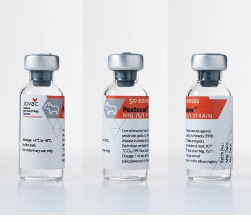 WhatsApp Image 2020-07-03 at 17.03.57