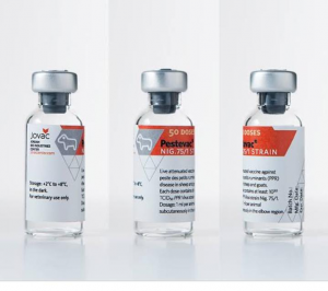 WhatsApp Image 2020-07-03 at 17.03.57