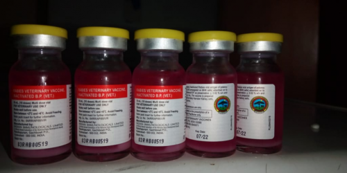 WhatsApp Image 2020-07-03 at 11.25.43